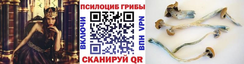 Галлюциногенные грибы прущие грибы  MEGA ONION  Солнечногорск 